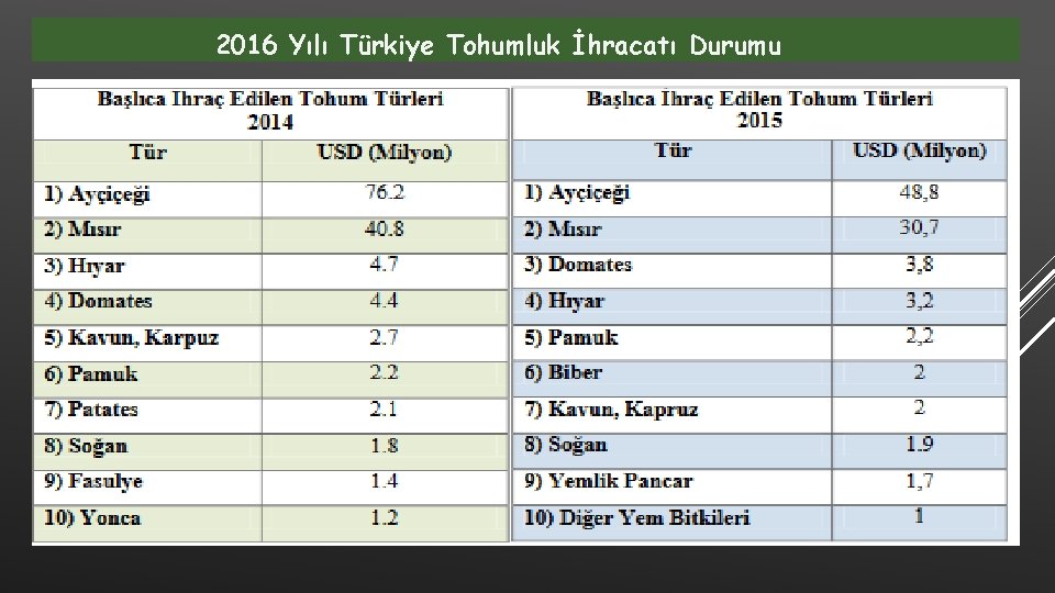 2016 Yılı Türkiye Tohumluk İhracatı Durumu 
