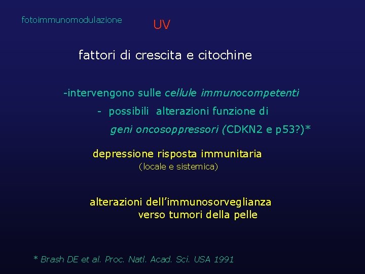 fotoimmunomodulazione UV fattori di crescita e citochine -intervengono sulle cellule immunocompetenti - possibili alterazioni