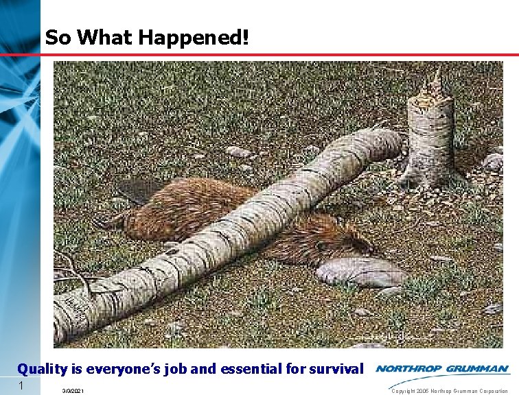 So What Happened! Quality is everyone’s job and essential for survival 1 3/3/2021 Copyright