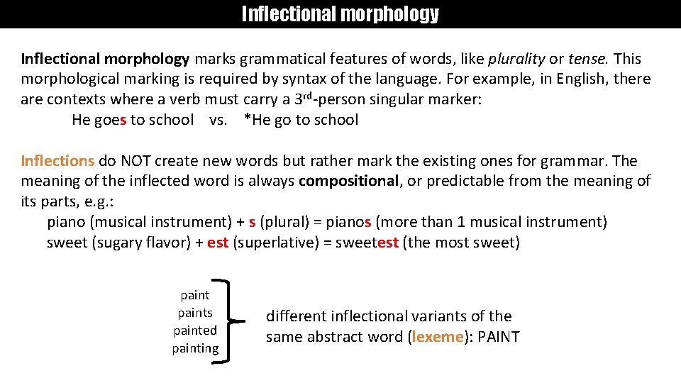 Inflectional morphology marks grammatical features of words, like plurality or tense. This morphological marking