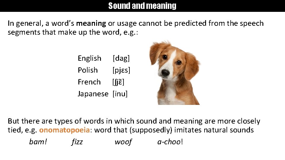 Sound and meaning In general, a word’s meaning or usage cannot be predicted from