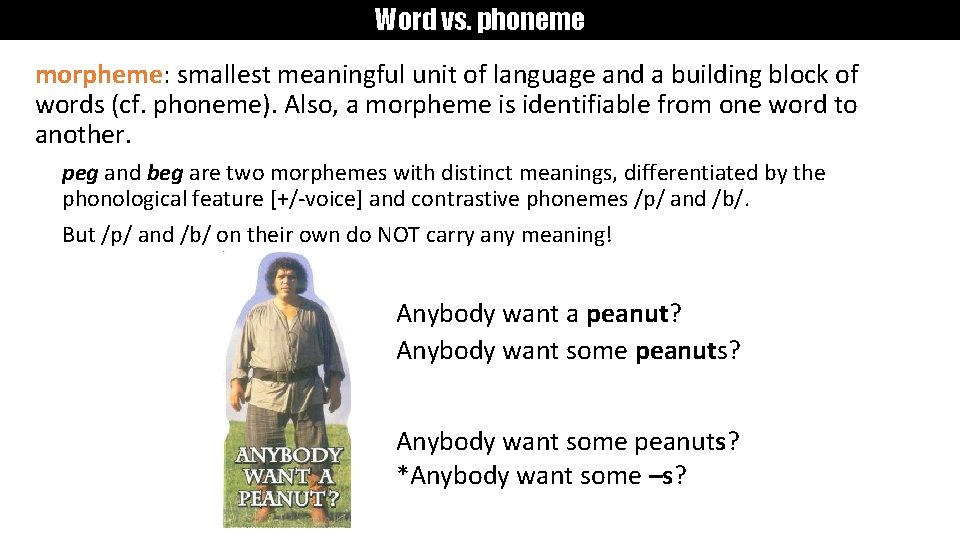 Word vs. phoneme morpheme: smallest meaningful unit of language and a building block of
