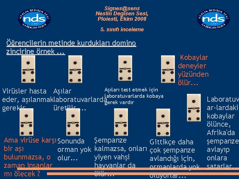 Signes@sens Neslin Degisen Sesi, Ploiesti, Ekim 2008 5. sınıfı inceleme Öğrencilerin metinde kurdukları domino