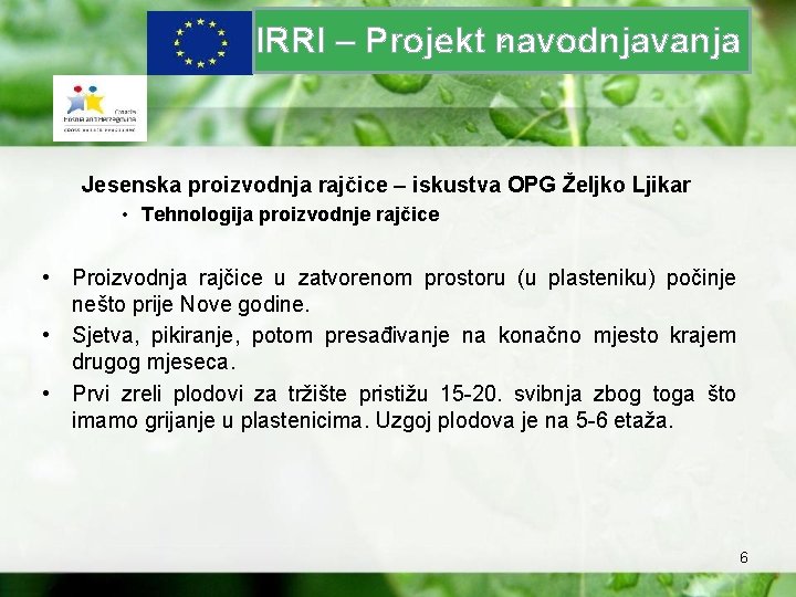 z IRRI – Projekt navodnjavanja Jesenska proizvodnja rajčice – iskustva OPG Željko Ljikar •