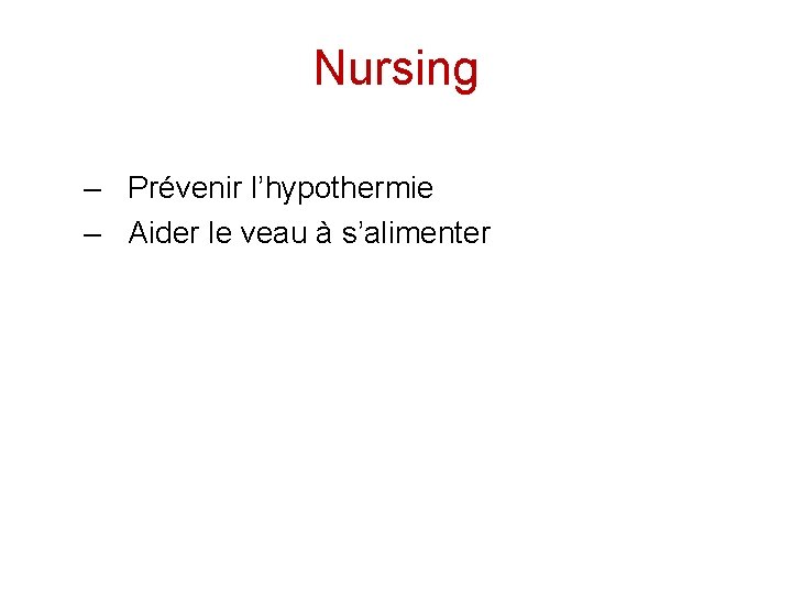 Nursing – Prévenir l’hypothermie – Aider le veau à s’alimenter 