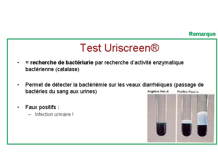 Remarque Test Uriscreen® • = recherche de bactériurie par recherche d’activité enzymatique bactérienne (catalase)