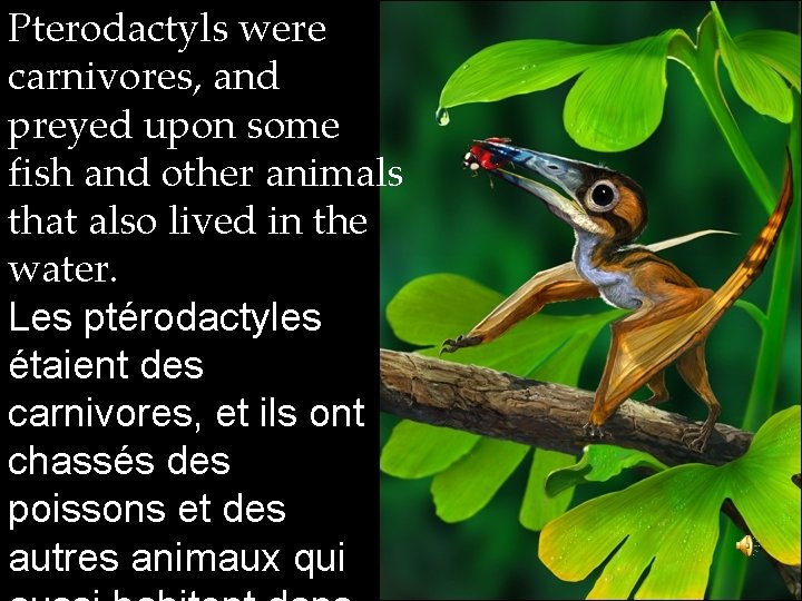 Pterodactyls were carnivores, and preyed upon some fish and other animals that also lived