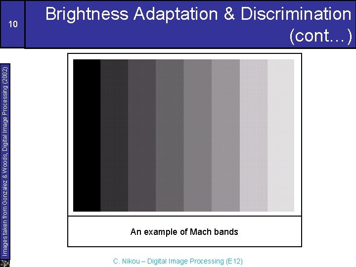 Images taken from Gonzalez & Woods, Digital Image Processing (2002) 10 Brightness Adaptation &