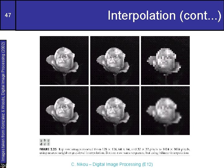 Images taken from Gonzalez & Woods, Digital Image Processing (2002) 47 Interpolation (cont. .