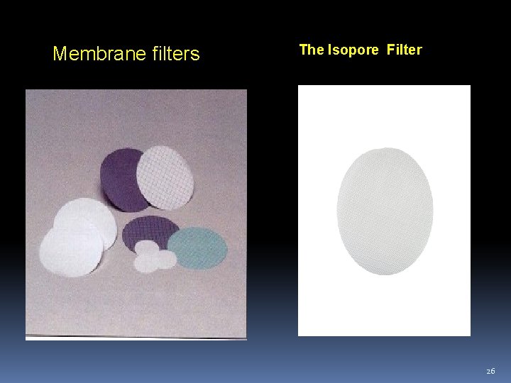 Membrane filters The Isopore Filter 26 