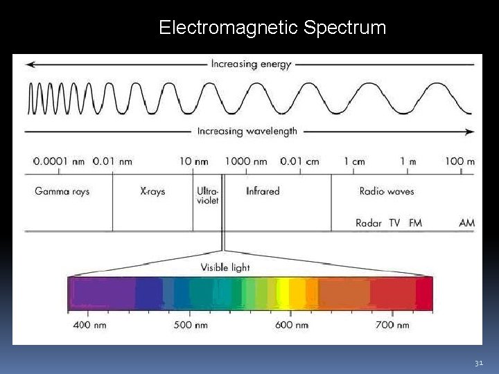 Electromagnetic Spectrum 31 