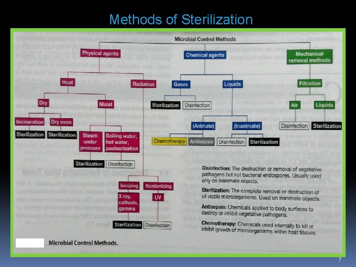 Methods of Sterilization 7 