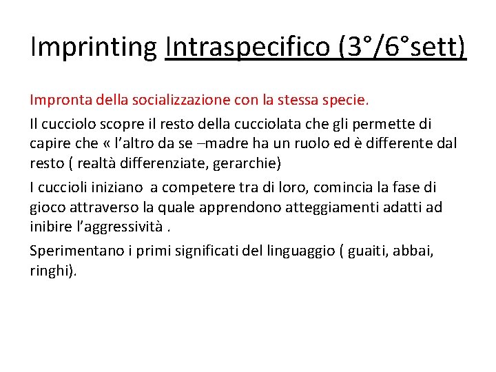 Imprinting Intraspecifico (3°/6°sett) Impronta della socializzazione con la stessa specie. Il cucciolo scopre il
