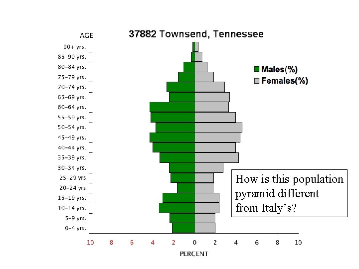 How is this population pyramid different from Italy’s? 