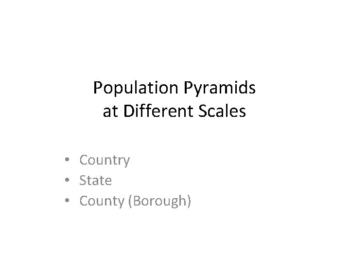 Population Pyramids at Different Scales • Country • State • County (Borough) 