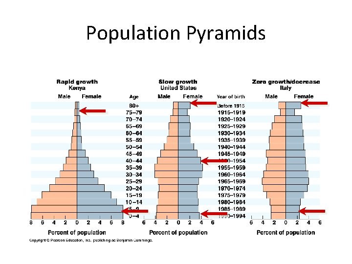 Population Pyramids 