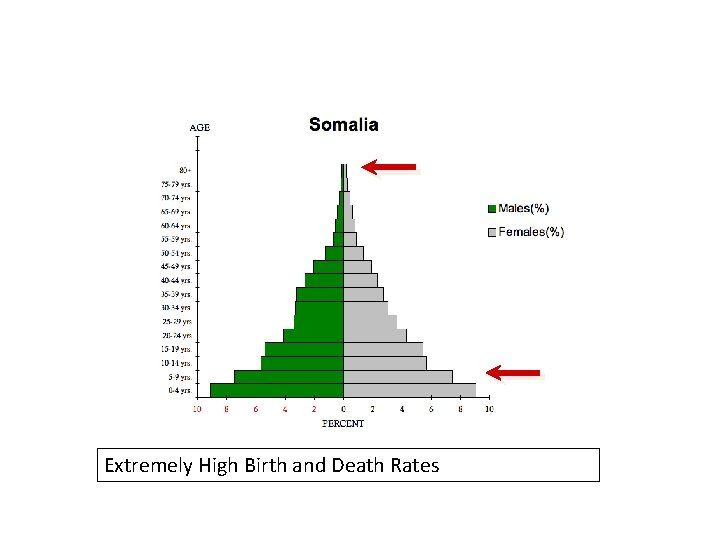 Extremely High Birth and Death Rates 