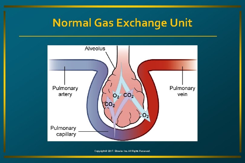 Normal Gas Exchange Unit Copyright © 2017, Elsevier Inc. All Rights Reserved. 