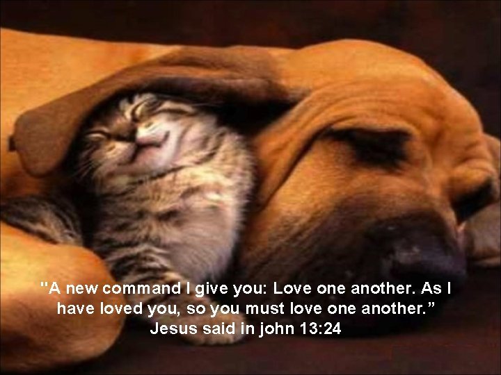 "A new command I give you: Love one another. As I have loved you,
