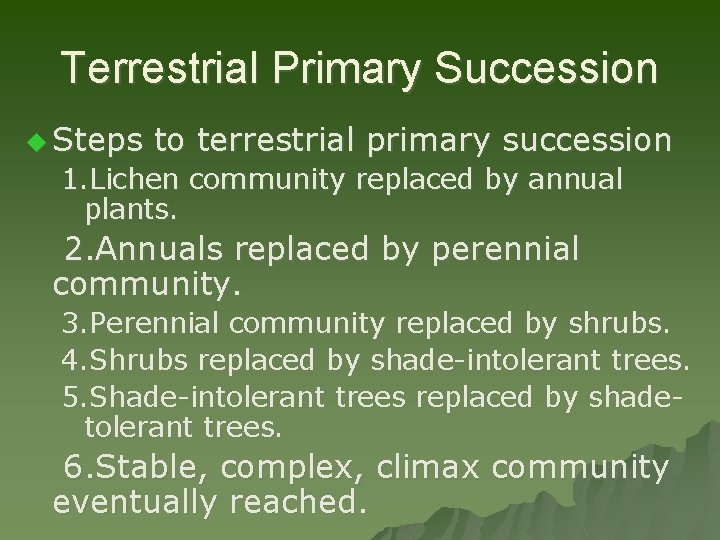 Terrestrial Primary Succession u Steps to terrestrial primary succession 1. Lichen community replaced by