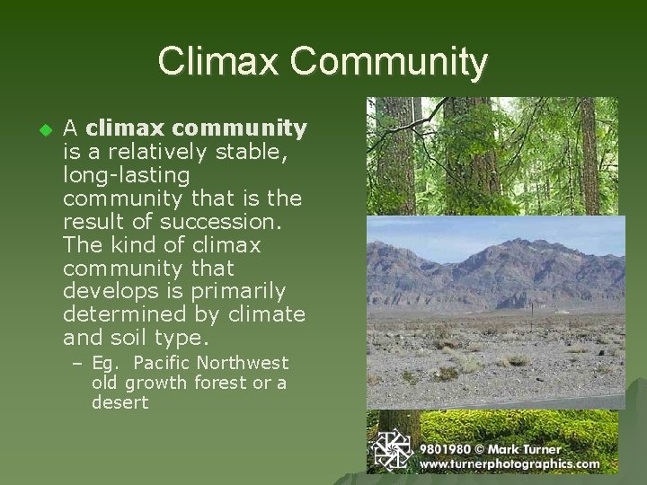 Climax Community u A climax community is a relatively stable, long-lasting community that is