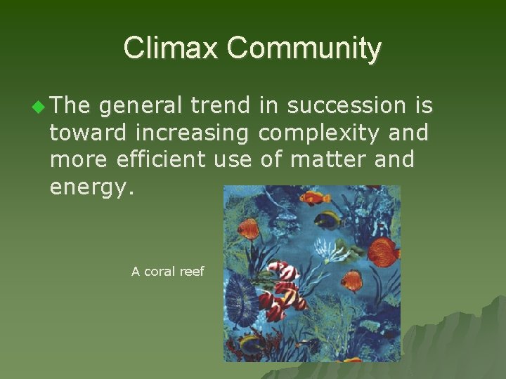 Climax Community u The general trend in succession is toward increasing complexity and more