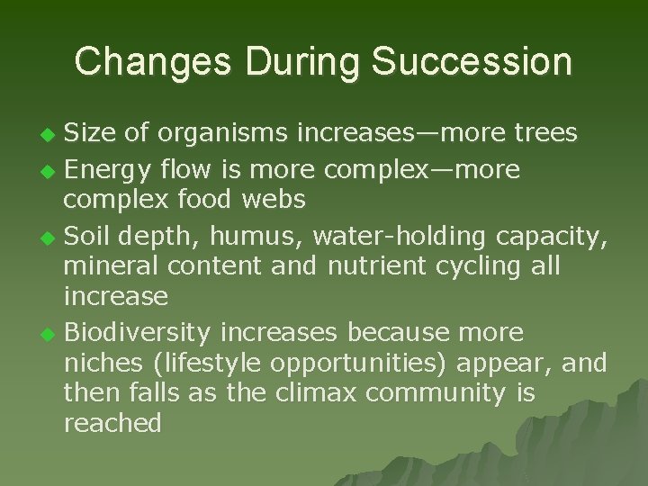 Changes During Succession Size of organisms increases—more trees u Energy flow is more complex—more