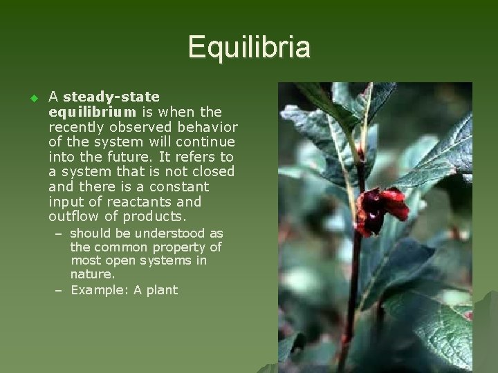 Equilibria u A steady-state equilibrium is when the recently observed behavior of the system