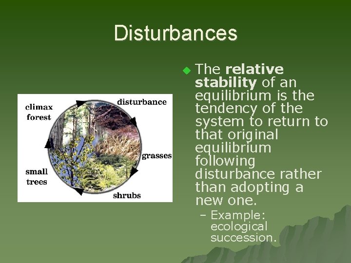 Disturbances u The relative stability of an equilibrium is the tendency of the system