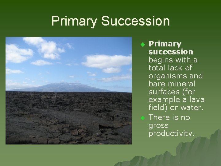 Primary Succession u u Primary succession begins with a total lack of organisms and