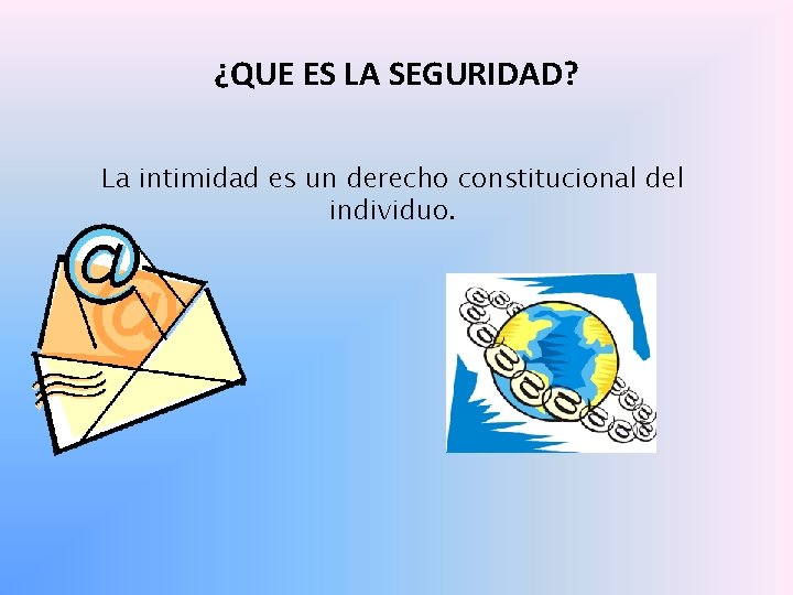 ¿QUE ES LA SEGURIDAD? La intimidad es un derecho constitucional del individuo. 