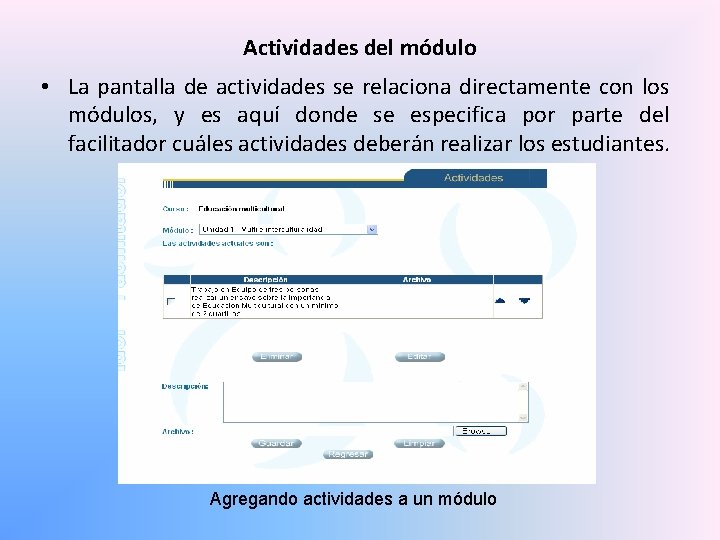 Actividades del módulo • La pantalla de actividades se relaciona directamente con los módulos,