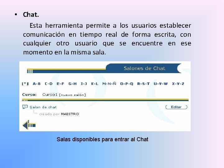  • Chat. Esta herramienta permite a los usuarios establecer comunicación en tiempo real