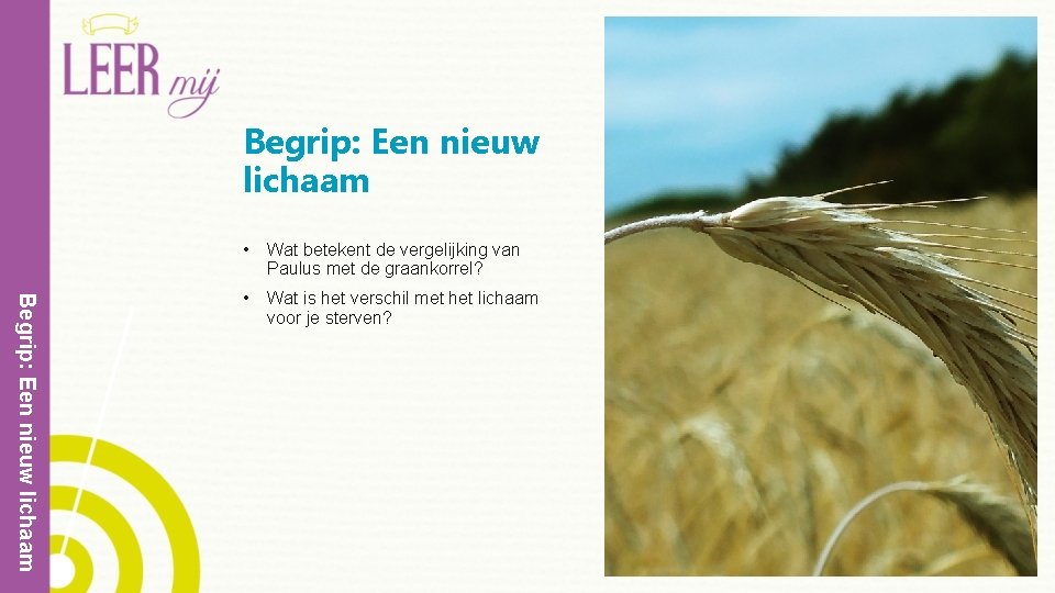 Begrip: Een nieuw lichaam • Wat betekent de vergelijking van Paulus met de graankorrel?