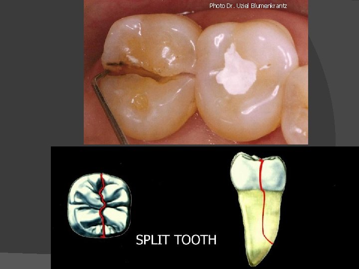 Photo Dr. Uziel Blumenkrantz 