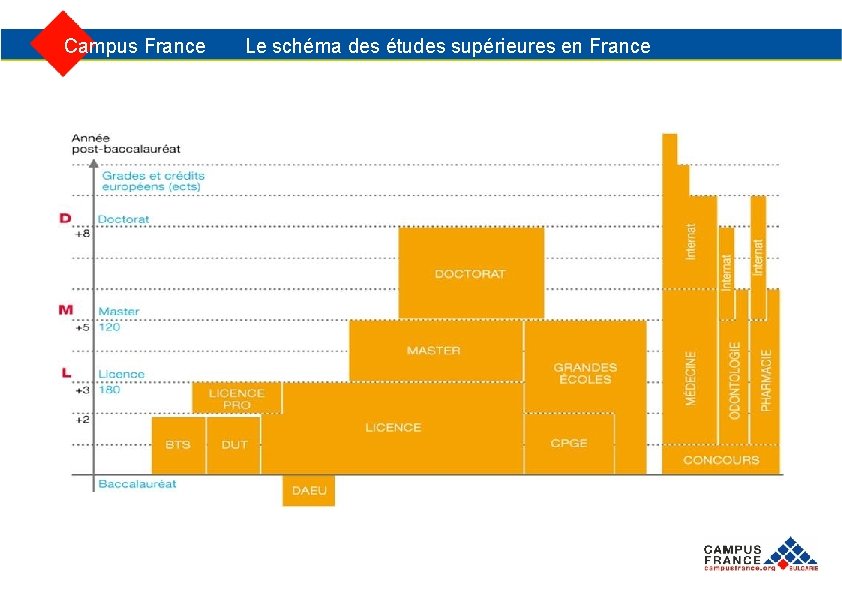  Campus France Le schéma des études supérieures en France 