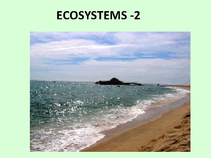 ECOSYSTEMS -2 