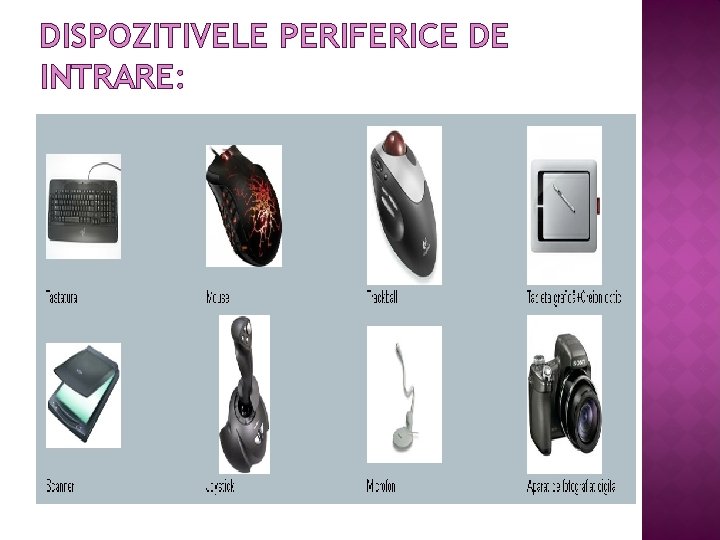 DISPOZITIVELE PERIFERICE DE INTRARE: 