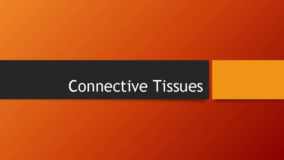 Connective Tissues 