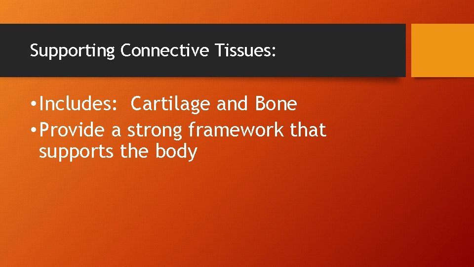 Supporting Connective Tissues: • Includes: Cartilage and Bone • Provide a strong framework that