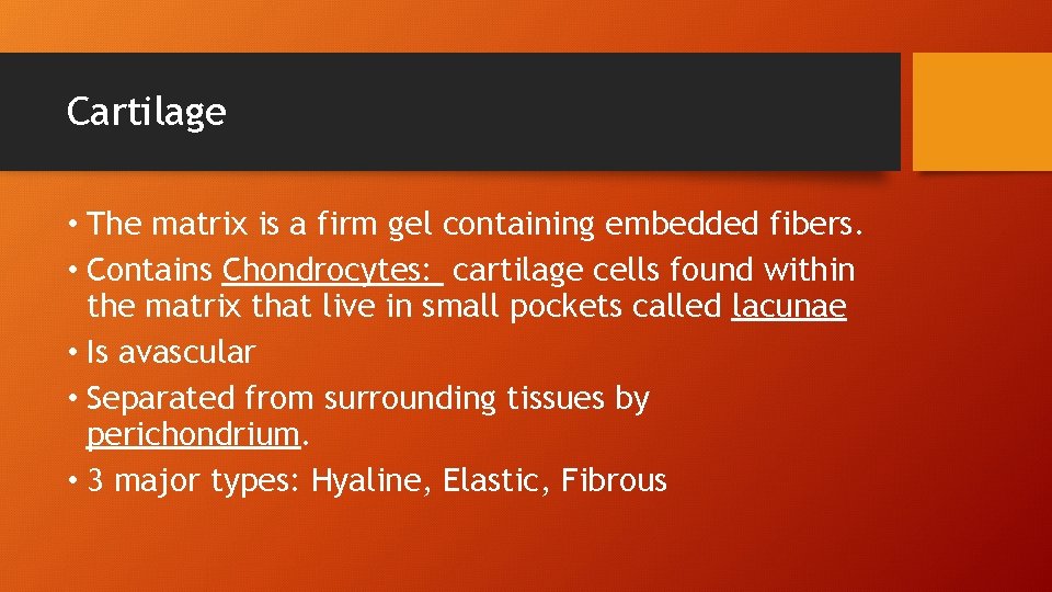 Cartilage • The matrix is a firm gel containing embedded fibers. • Contains Chondrocytes: