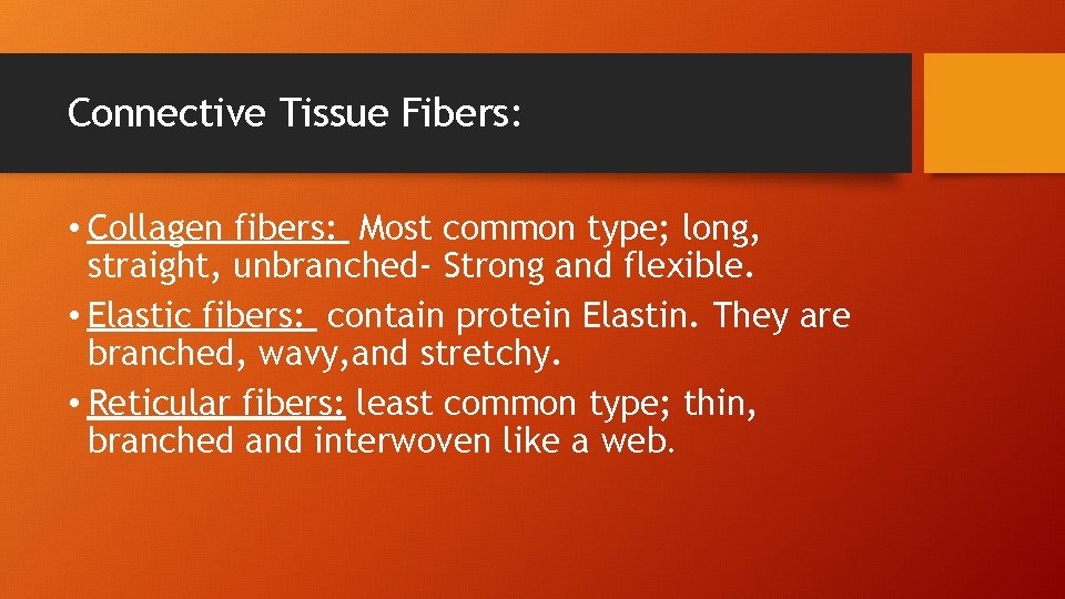 Connective Tissue Fibers: • Collagen fibers: Most common type; long, straight, unbranched- Strong and