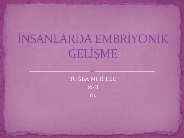 İNSANLARDA EMBRİYONİK GELİŞME TUĞBA NUR EKE 10 -B 62 