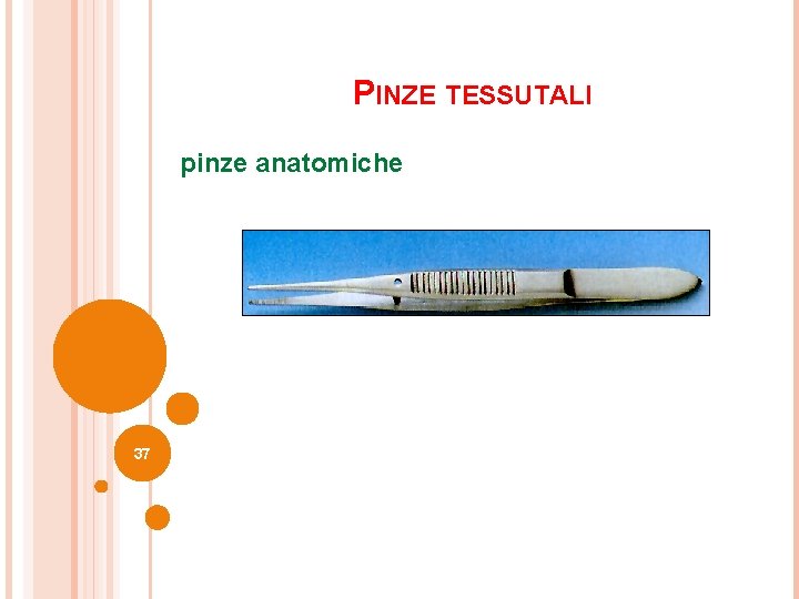 PINZE TESSUTALI pinze anatomiche 37 