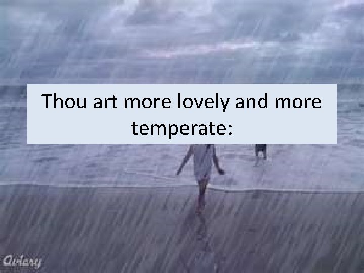 Thou art more lovely and more temperate: 