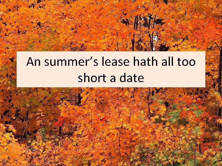 An summer’s lease hath all too short a date 