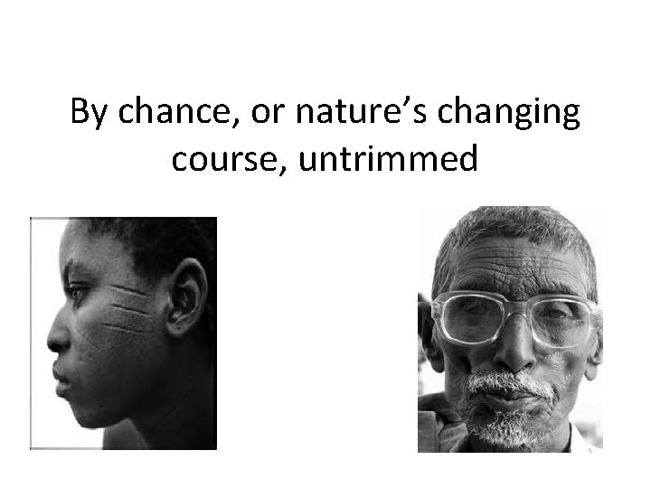 By chance, or nature’s changing course, untrimmed 