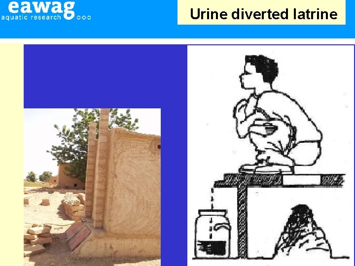 Urine diverted latrine 