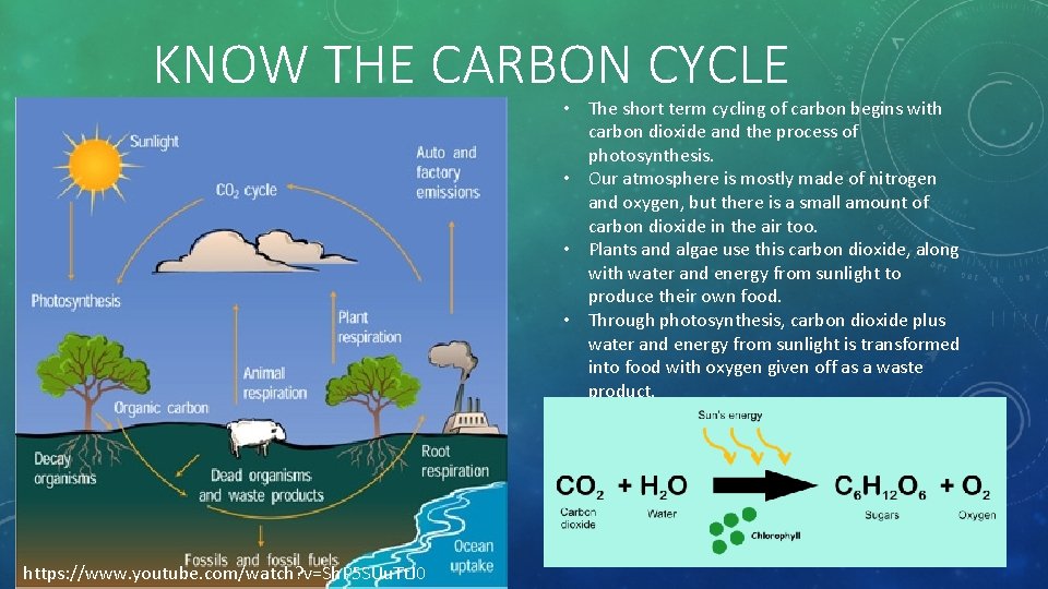 KNOW THE CARBON CYCLE • The short term cycling of carbon begins with carbon