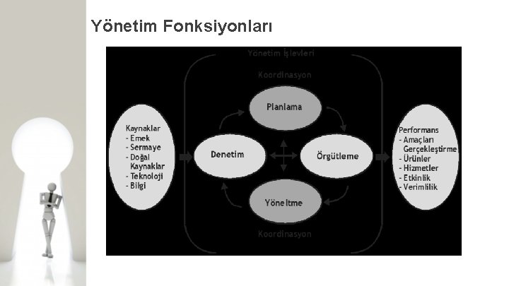 Yönetim Fonksiyonları 